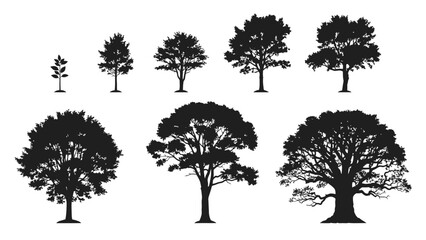 Fototapeta premium Collection of ten black silhouette trees varying in size, shape, and foliage density against white background