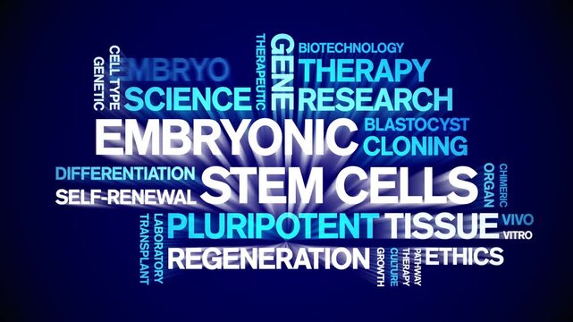 Embryonic Stem Cells animated word cloud-text design animation tag kinetic typography seamless loop.
