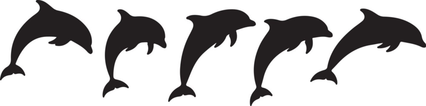 Set of dolphin silhouettes in various swimming positions side view