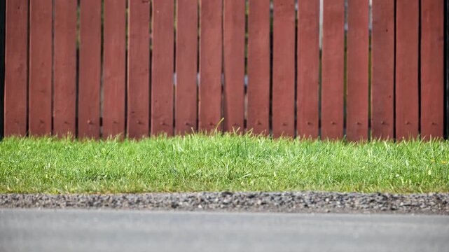 Wooden fence and green grass providing rustic border and space for text