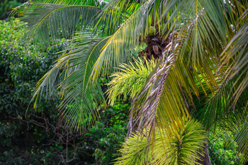 The natural backdrop of trees growing along canals, large reservoirs,the sea features many types of...