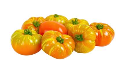 Colorful striped tomatoes with green stems isolated on a transparent background