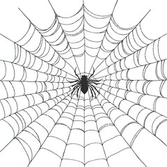 Obraz premium Minimalist black and white animation of a spider web being spun, creating a symmetrical pattern against a stark white background. , vector style simple color