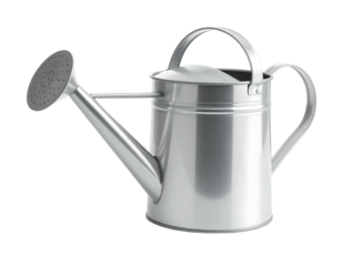 Classic metal watering can with a traditional spout and handle
