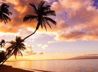Obraz premium Sunrise on Leaning Palm Tree at One Alii Beach Park With Lanai Across The Kalohi Channel, Molokai, Hawaii, USA