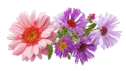 Pink Gerbera Daisy and Purple Asters Flower Arrangement isolated on a transparent background
