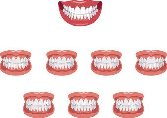 Collection Of Human Teeth And Smile Types Featuring Different Dental Alignment And Anatomy For Dentistry Orthodontics Oral Hygiene Education Graphic