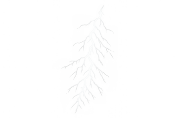 Lightning bolt strike creating electric flash, powerful storm energy power with transparent background