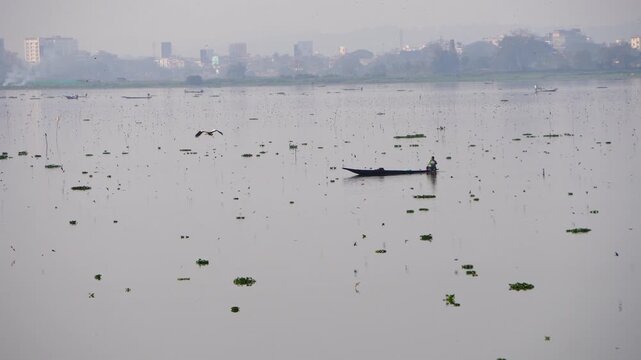 Tiny birds having a feast over the water in Deepor Beel Guwahati Assam 2 and this video captures a moment of a flock of small birds in flight over calm water, with their reflections visible below.