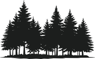 Fototapeta premium Dense forest of dark pine trees silhouette vector illustration