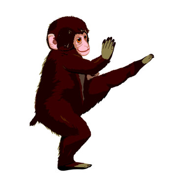 Baby monkey with Karate pose