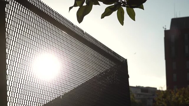 metal mesh construction usa border sun