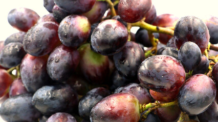 Fresh red and purple grapes with water droplets close-up.
