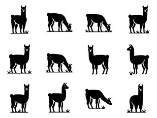 Obraz premium Stylized silhouette llama set featuring different poses including standing and grazing for design elements