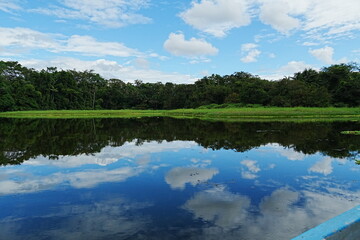 Laguna rodeada de bosque tropical con reflejo del cielo, evocando tranquilidad, biodiversidad y paisaje natural.