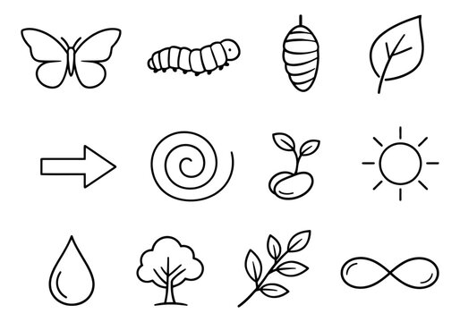 Hand drawn line art nature and life cycle icons set featuring butterfly transformation, plant growth, and natural elements for educational and environmental concepts