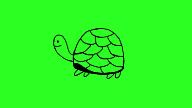 4K Hand drawn turtle frame by frame animation on chroma key green screen background.