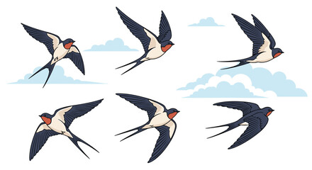 Obraz premium A set of six illustrations showing the flight cycle of a barn swallow against a backdrop of light blue clouds and sky.