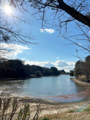 爽やかな空と池