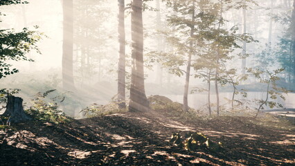 Obraz premium Golden rays of sunlight shine softly through the trees in a tranquil forest. Mist hangs in the air, creating a magical atmosphere beside the calm pond. Nature feels alive and peaceful.