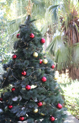 Decorate the Christmas tree beautifully.