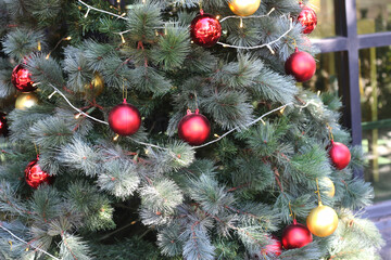 Decorate the Christmas tree beautifully.