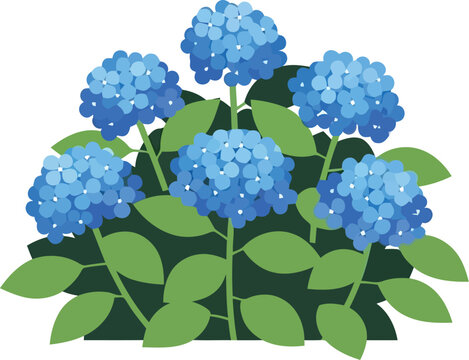 Blue Hydrangea Bush Illustration, Lush Floral Clipart for Spring and Summer Design Projects