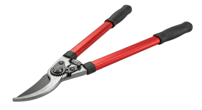 Heavy duty bypass loppers with red handles and black grips for gardening and pruning tasks - Powered by Adobe