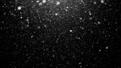 Fototapeta premium Falling White Snow Particles Overlay on Dark Black Background