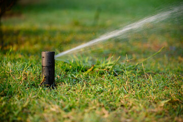 Automatic garden watering system gently sprays water onto grass. Sprinkler system ensures even distribution of water for summer lawn care. © GRON777