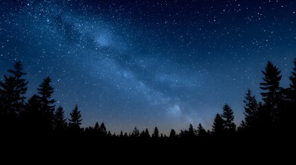 Starry night sky with the Milky Way over a silhouetted forest