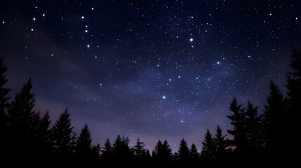 A serene night sky filled with countless bright stars sparkles above a dark evergreen forest silhouette