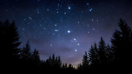 A brilliant night sky filled with countless stars shines above a dark silhouetted forest