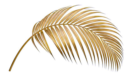 Fototapeta premium Golden Palm Leaf on White Background