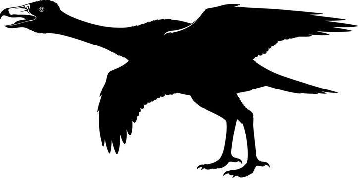 Gastornis prehistoric bird silhouette, a large flightless avian predator with open beak.