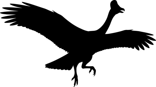 Gastornis terror bird, running with outstretched wings and open beak, simple black vector silhouette.