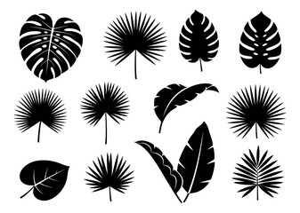 Silhouette tropical leaf set featuring monstera, palm, and banana foliage for design