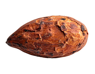 Roasted cacao bean with textured, cracked shell against black