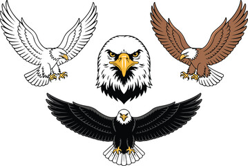 Fototapeta premium American Eagle Icon Set Bald Eagle Logo, Wild Birds, and Eagle Head Drawings
