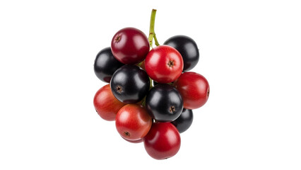 A vibrant cluster of fresh, ripe red and black berries on a single delicate green stem, showcasing natural contrasts and healthy produce