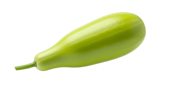 Freshly harvested vibrant green bottle gourd isolated on a pristine white background showcasing its smooth texture and elegant elongated form ready