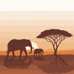 Elephant family walking on savannah with acacia tree at sunset with shadows © md