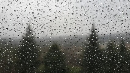 Obraz premium Raindrops cover a window blurring the trees and overcast scenery behind it
