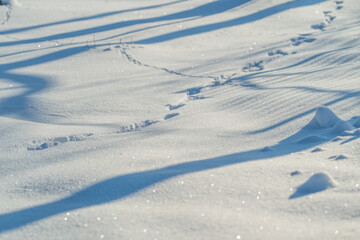Frozen landscape decorated with animal impressions, Frosted snow showing traces of wildlife passage moments, Glistening snow dotted with animal tracks and windshaped ice formations