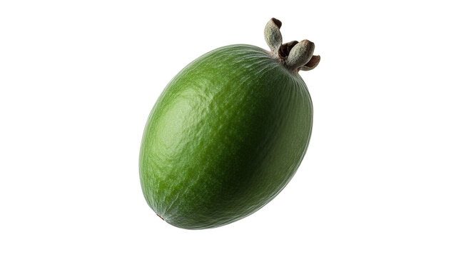 Vibrant green feijoa fruit displayed on a clean white background, highlighting its unique texture and fresh appeal