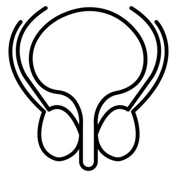 Prostate Icon