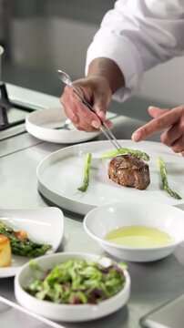 Hands, steak and plate with chef in kitchen for hospitality, culinary skill and gourmet diet. Gastronomy, cuisine and premium craftsmanship with person in restaurant for catering, cooking and food
