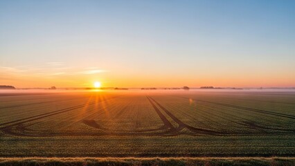 Sunrise over a field Lines of crops stretch into distance with sun low on horizon
