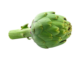 A fresh, green artichoke with a thick stem against a black background
