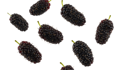 Fresh, plump dark mulberries with delicate green stems are scattered against a white background, highlighting their natural texture, rich color, and
